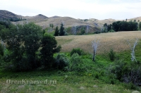 Балка Цветковая