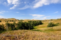 Балка Цветковая