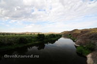 Урочище Медянка. Июнь 2014 года