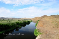 Урочище Медянка. Июнь 2014 года