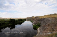 Урочище Медянка. Июнь 2014 года