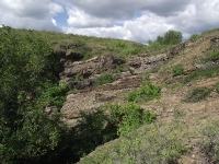 Каялинская свита. 2018 год