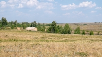 Лес Сибай