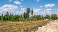 Лес Сибай