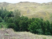 Аулганское ущелье. Июль 2012 года