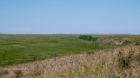 Урочище Березовый Дол