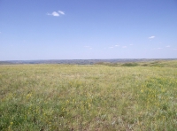 Урочище Чертово Городище. 2018 год