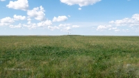 Урочище Чертово Городище. Июнь 2020 года