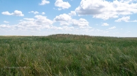 Урочище Чертово Городище. Июнь 2020 года