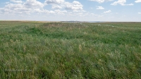 Урочище Чертово Городище. Июнь 2020 года