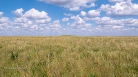 Урочище Чертово Городище. Июнь 2020 года