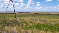 Урочище Чертово Городище. Июнь 2020 года