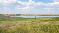 Озеро Купа (Гайнуллинское). Июнь 2021 года