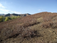 Гора Поперечная у реки Губерли. Сентябрь 2018 года