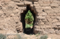 Бай-могила. Май 2012 года