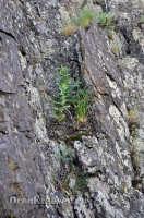 Камсакское ущелье. 2012 год