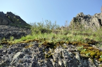 Камсакское ущелье. 2012 год