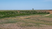 Домбаровский район