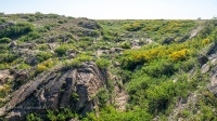 Урочище Тасбулак. Май 2021 года