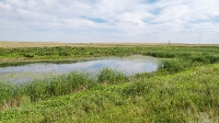 Домбаровский район