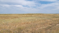Соколовская степь. Июль 2022 года