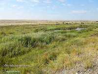 Тыкашинская толща. Август 2023 года