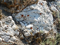 Тыкашинская толща. Август 2023 года