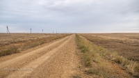 Акжарская степь