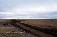 Урочище Крыкла. Ноябрь 2012 года