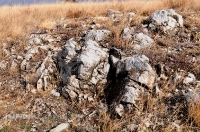 Урочище Крыкла. Ноябрь 2012 года