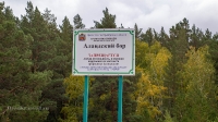 Аландский бор. Сентябрь 2021 года