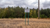 Аландский бор