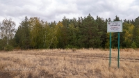 Аландский бор