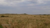Кваркенские каменные палатки
