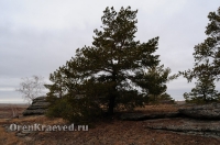 Байтукские каменные палатки. Ноябрь 2012 года