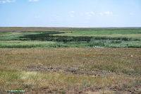 Светлинский район