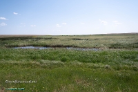 Озеро Карамола. Июнь 2025 года