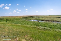 Озеро Карамола. Июнь 2025 года