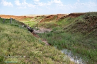 Ащисайский пруд. Июнь 2025 года