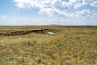 Ащисайский пруд. Июнь 2025 года