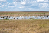 Озеро Айке. Июнь 2025 года