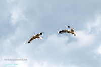 Озеро Айке. Июнь 2025 года