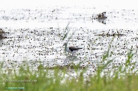 Озеро Айке. Июнь 2025 года