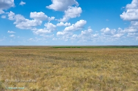 Озеро Батпакты. Июнь 2025 года