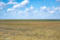 Озеро Батпакты