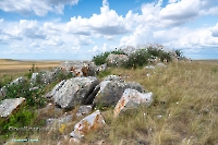 Скала Белая