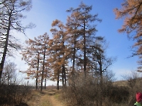 Струковский парк