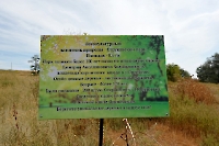 Струковский парк