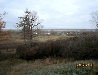 Струковский парк