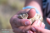 Гора Стеклянная. Июль 2025 года